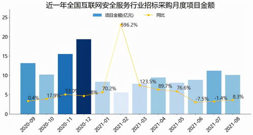 2021全国互联网安全服务行业招标采购报告 简版